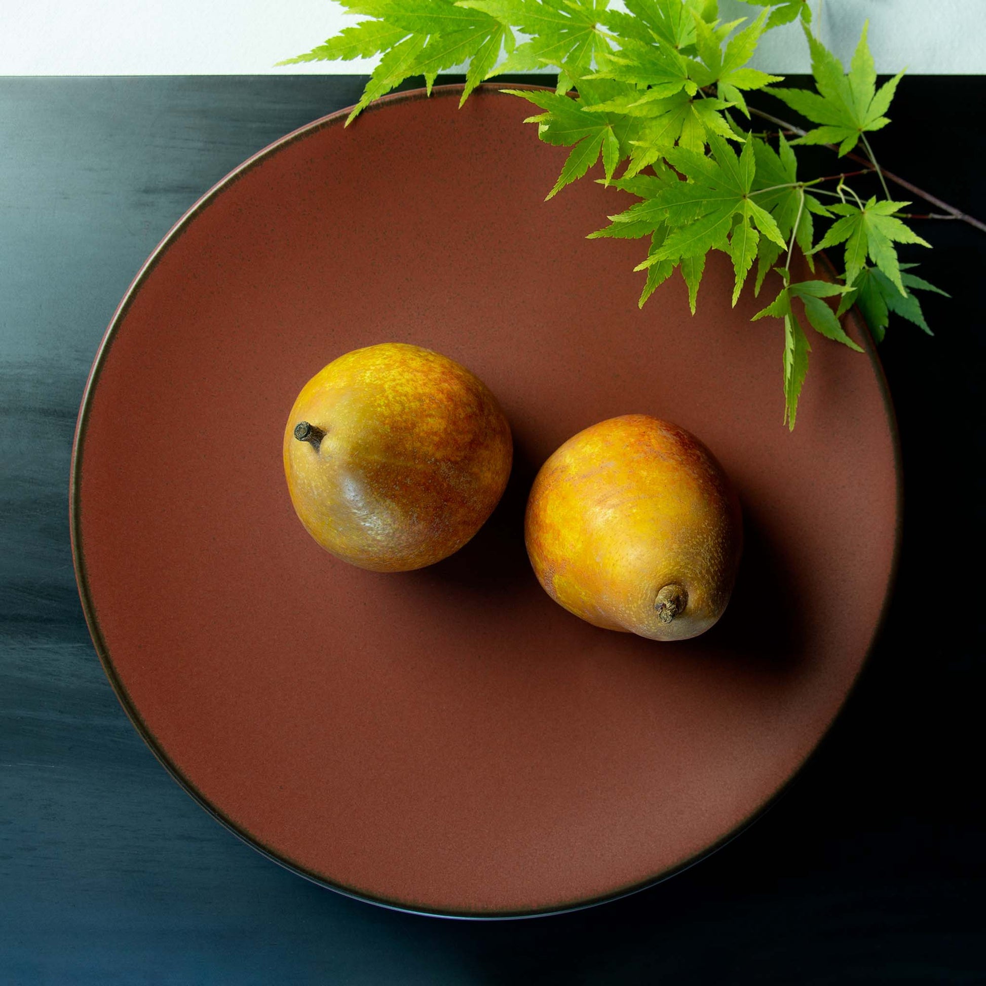 Deep red dinner plate with thin black outline at rim.